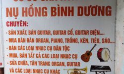 Trung Tâm Sửa chữa, sơn tân trang các loại nhạc cụ: sửa đàn guitar, thay dây, cân chỉnh cong cần, thay khoá, thay phím đàn Tại Lái Thiêu, Tp Thuận An, Dĩ An, Thủ Dầu Một, Thuận Giao, Bình Hoà, Vĩnh phú , Hiệp Bình Chánh, Thanh Đa, Đinh Bộ Lĩnh, Nơ Trang long, Thủ Đức