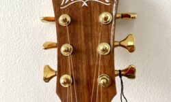 ĐÀN WASHBURN BTS24S CHÍNH HÃNG TẠI NHẠC CỤ NỤ HỒNG 3 Ở BÌNH TRIỆU THỦ ĐỨC BÌNH THẠNH GÒ VẤP TP HỒ CHÍ MINH